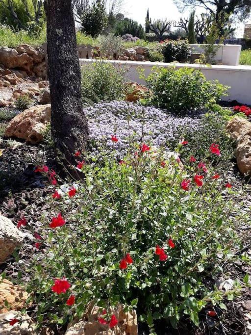 לורג Maison 2 Ou 4 Personnes Jardin Parking Les Amandiers מראה חיצוני תמונה