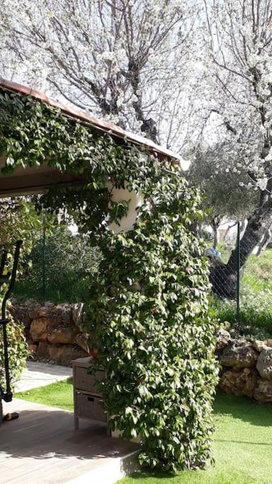 לורג Maison 2 Ou 4 Personnes Jardin Parking Les Amandiers מראה חיצוני תמונה